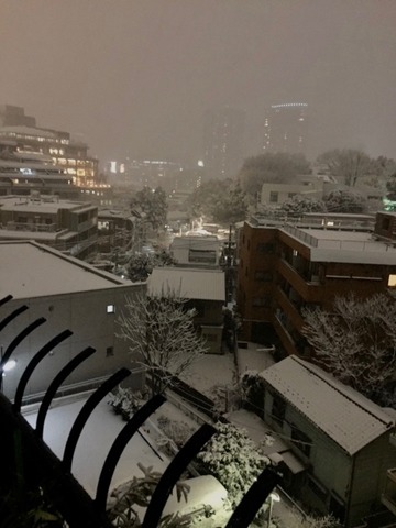 雪 - 1 (1)