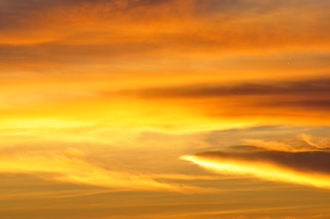 _DSC0083