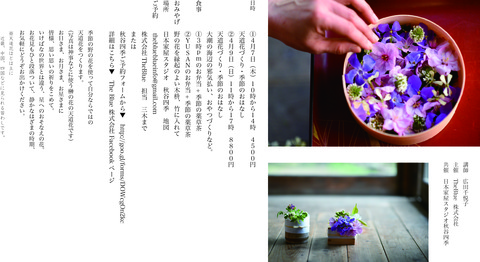 3天道花2