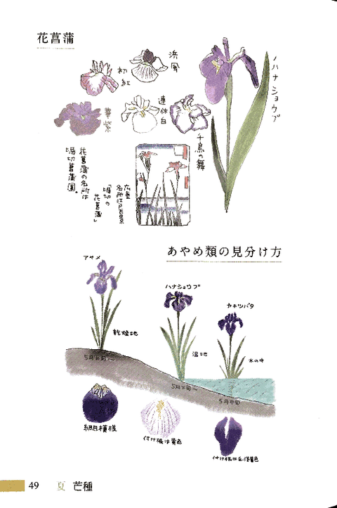 Scannable の文書 (H27-06-07 12_27_45)-4