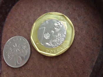 sd_coin