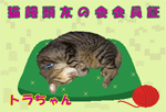nekotomo-3tora.png
