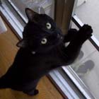 profile-00kuro.jpg
