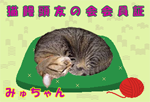 nekotomo-1myu.png