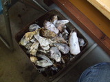 DSCF0319