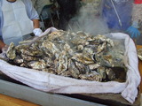 DSCF0316