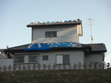 CIMG5640