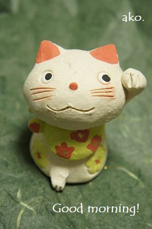 〇ねこDSC06052