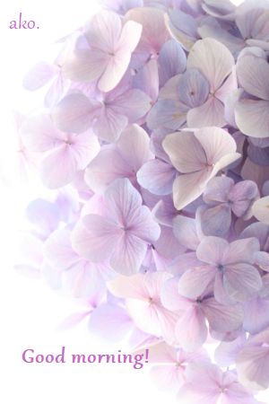 2962▲IMG_0327 300×450