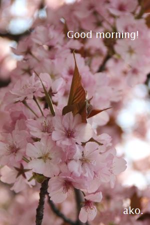 〇衣笠IMG_7627