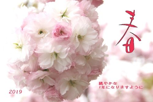 2019年 2