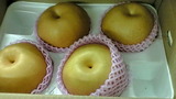 7cd54f76.jpg