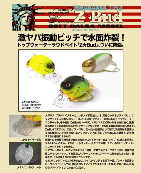 Z-bad_001_new
