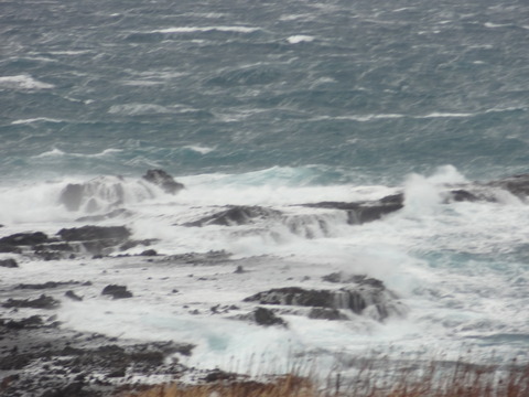 DSC00927