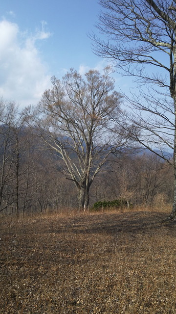 DSCN0126
