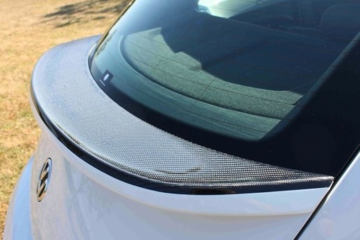 ap_beetle_rear02