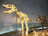 d15e0876.jpg