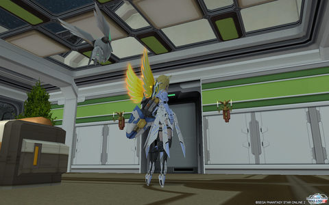 pso20130116_015513_001