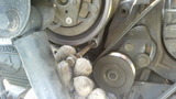 d50db99c.jpg