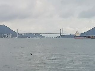 SHV39_3944