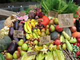 veggies5