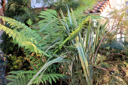fern111bms