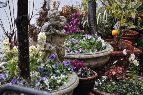garden207_ms