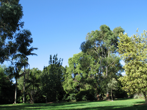maranoagarden