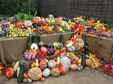 veggies
