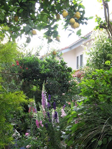 garden518