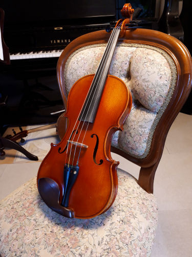 viola917ms