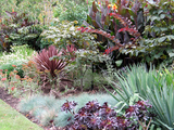 fitzroygardenbed