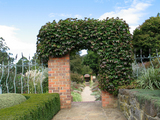 ivygate