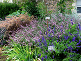 heronsborder