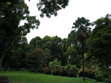 fitzroygreen