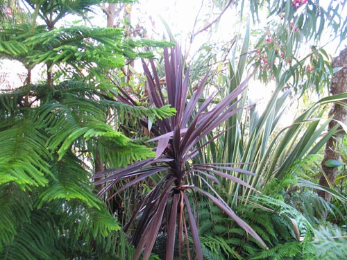 garden1115
