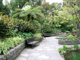 fitzroyfern