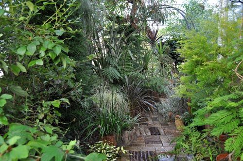 garden919_ms
