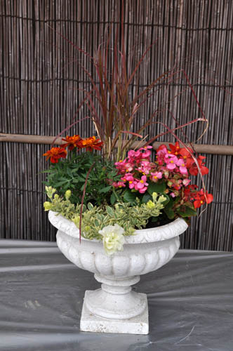 春の寄せ植え Vol.2 : Alex's Garden Party♪