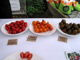 tomato2