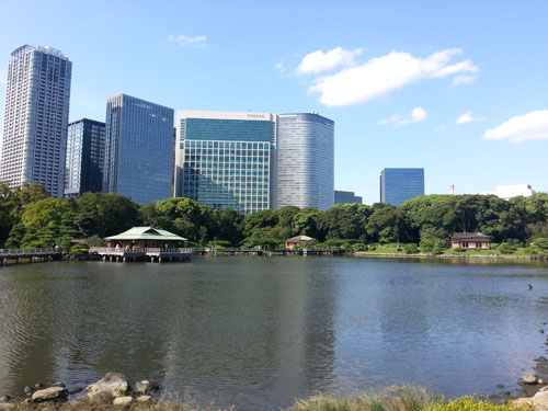 hamarikyu914_ms