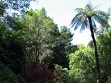e6b33417.jpg