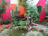 greenhouse2