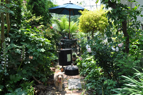 bbqgarden522b_ms