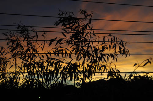 3sunset917_ms