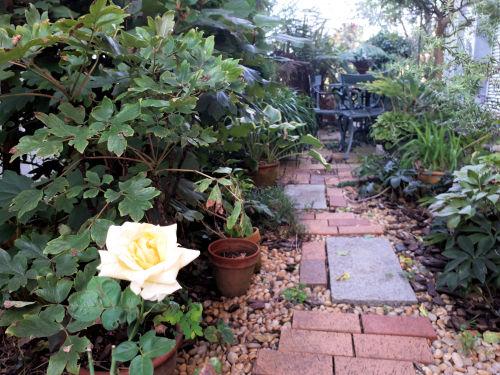 peacegarden917ms