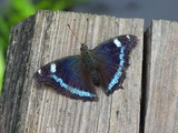 18dfe596.jpg