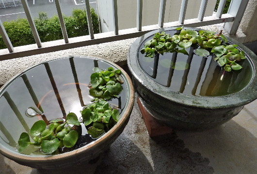 P1170223
