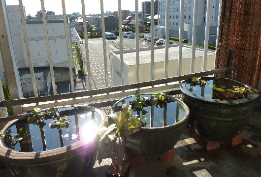P1170704