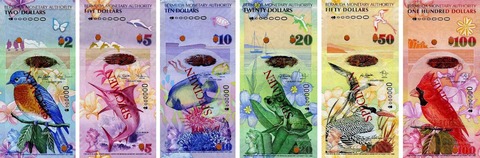 BermudaMoney